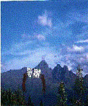 outdoor wedding packages california.